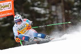 Audi FIS Ski World Cup - Men's Giant Slalom 2024-2025