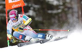 Audi FIS Ski World Cup - Men's Giant Slalom 2024-2025