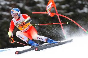 Audi FIS Ski World Cup - Men's Giant Slalom 2024-2025