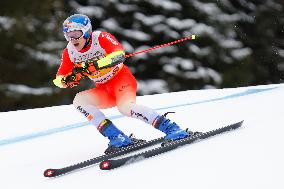 Audi FIS Ski World Cup - Men's Giant Slalom 2024-2025