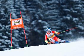 Audi FIS Ski World Cup - Men's Giant Slalom 2024-2025