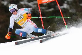 Audi FIS Ski World Cup - Men's Giant Slalom 2024-2025