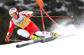 Audi FIS Ski World Cup - Men's Giant Slalom 2024-2025