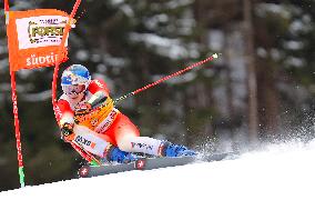 Audi FIS Ski World Cup - Men's Giant Slalom 2024-2025