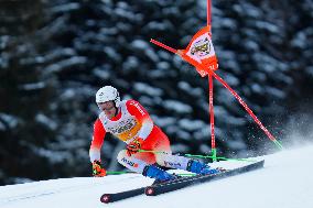 Audi FIS Ski World Cup - Men's Giant Slalom 2024-2025