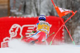 Audi FIS Ski World Cup - Men's Giant Slalom 2024-2025