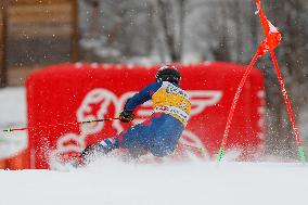 Audi FIS Ski World Cup - Men's Giant Slalom 2024-2025