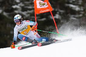 Audi FIS Ski World Cup - Men's Giant Slalom 2024-2025