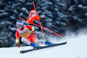 Audi FIS Ski World Cup - Men's Giant Slalom 2024-2025