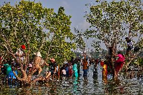 Sambranikodi Island In Kerala, India