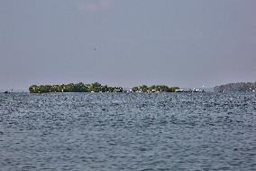 Sambranikodi Island In Kerala, India