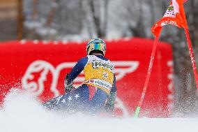 SPORT INVERNALI - Sci Alpino - AUDI FIS Ski World Cup - Giant Slalom - Uomini