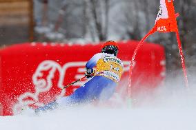 SPORT INVERNALI - Sci Alpino - AUDI FIS Ski World Cup - Giant Slalom - Uomini