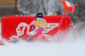 SPORT INVERNALI - Sci Alpino - AUDI FIS Ski World Cup - Giant Slalom - Uomini