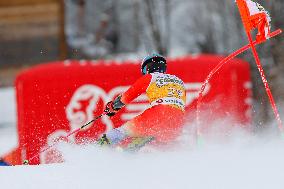 SPORT INVERNALI - Sci Alpino - AUDI FIS Ski World Cup - Giant Slalom - Uomini