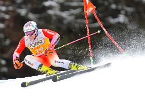 SPORT INVERNALI - Sci Alpino - AUDI FIS Ski World Cup - Giant Slalom - Uomini