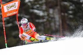 SPORT INVERNALI - Sci Alpino - AUDI FIS Ski World Cup - Giant Slalom - Uomini