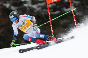 SPORT INVERNALI - Sci Alpino - AUDI FIS Ski World Cup - Giant Slalom - Uomini