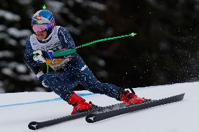 SPORT INVERNALI - Sci Alpino - AUDI FIS Ski World Cup - Giant Slalom - Uomini