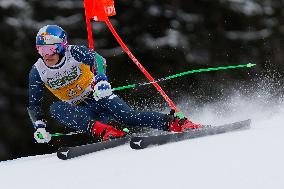 SPORT INVERNALI - Sci Alpino - AUDI FIS Ski World Cup - Giant Slalom - Uomini