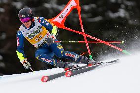 SPORT INVERNALI - Sci Alpino - AUDI FIS Ski World Cup - Giant Slalom - Uomini