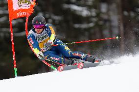 SPORT INVERNALI - Sci Alpino - AUDI FIS Ski World Cup - Giant Slalom - Uomini