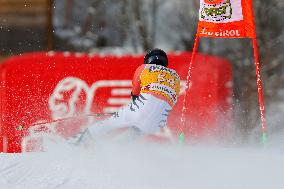 SPORT INVERNALI - Sci Alpino - AUDI FIS Ski World Cup - Giant Slalom - Uomini