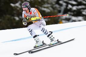 SPORT INVERNALI - Sci Alpino - AUDI FIS Ski World Cup - Giant Slalom - Uomini