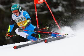 SPORT INVERNALI - Sci Alpino - AUDI FIS Ski World Cup - Giant Slalom - Uomini
