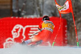 SPORT INVERNALI - Sci Alpino - AUDI FIS Ski World Cup - Giant Slalom - Uomini