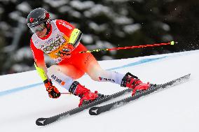 SPORT INVERNALI - Sci Alpino - AUDI FIS Ski World Cup - Giant Slalom - Uomini