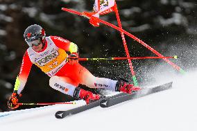 SPORT INVERNALI - Sci Alpino - AUDI FIS Ski World Cup - Giant Slalom - Uomini