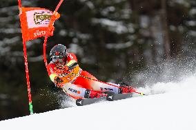 SPORT INVERNALI - Sci Alpino - AUDI FIS Ski World Cup - Giant Slalom - Uomini