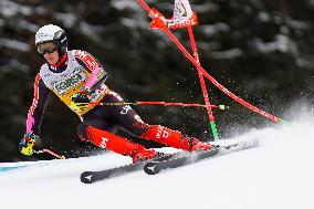 SPORT INVERNALI - Sci Alpino - AUDI FIS Ski World Cup - Giant Slalom - Uomini