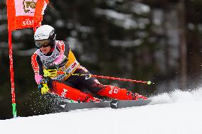 SPORT INVERNALI - Sci Alpino - AUDI FIS Ski World Cup - Giant Slalom - Uomini