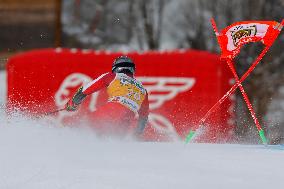 SPORT INVERNALI - Sci Alpino - AUDI FIS Ski World Cup - Giant Slalom - Uomini