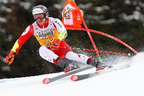 SPORT INVERNALI - Sci Alpino - AUDI FIS Ski World Cup - Giant Slalom - Uomini