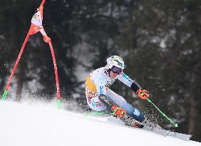 SPORT INVERNALI - Sci Alpino - AUDI FIS Ski World Cup - Giant Slalom - Uomini