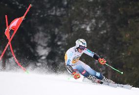 SPORT INVERNALI - Sci Alpino - AUDI FIS Ski World Cup - Giant Slalom - Uomini