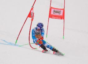 SPORT INVERNALI - Sci Alpino - AUDI FIS Ski World Cup - Giant Slalom - Uomini