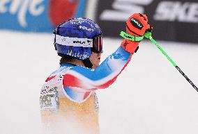 SPORT INVERNALI - Sci Alpino - AUDI FIS Ski World Cup - Giant Slalom - Uomini