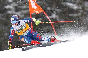 SPORT INVERNALI - Sci Alpino - AUDI FIS Ski World Cup - Giant Slalom - Uomini