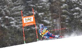 SPORT INVERNALI - Sci Alpino - AUDI FIS Ski World Cup - Giant Slalom - Uomini