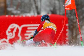 SPORT INVERNALI - Sci Alpino - AUDI FIS Ski World Cup - Giant Slalom - Uomini