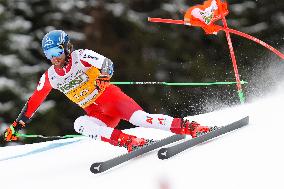 SPORT INVERNALI - Sci Alpino - AUDI FIS Ski World Cup - Giant Slalom - Uomini