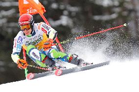 SPORT INVERNALI - Sci Alpino - AUDI FIS Ski World Cup - Giant Slalom - Uomini