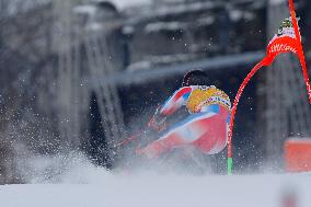 SPORT INVERNALI - Sci Alpino - AUDI FIS Ski World Cup - Giant Slalom - Uomini