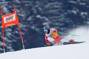 SPORT INVERNALI - Sci Alpino - AUDI FIS Ski World Cup - Giant Slalom - Uomini