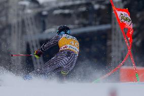 SPORT INVERNALI - Sci Alpino - AUDI FIS Ski World Cup - Giant Slalom - Uomini