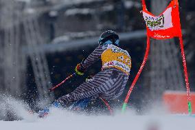 SPORT INVERNALI - Sci Alpino - AUDI FIS Ski World Cup - Giant Slalom - Uomini